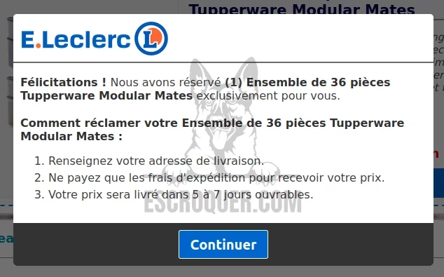 Leclerc tupperware